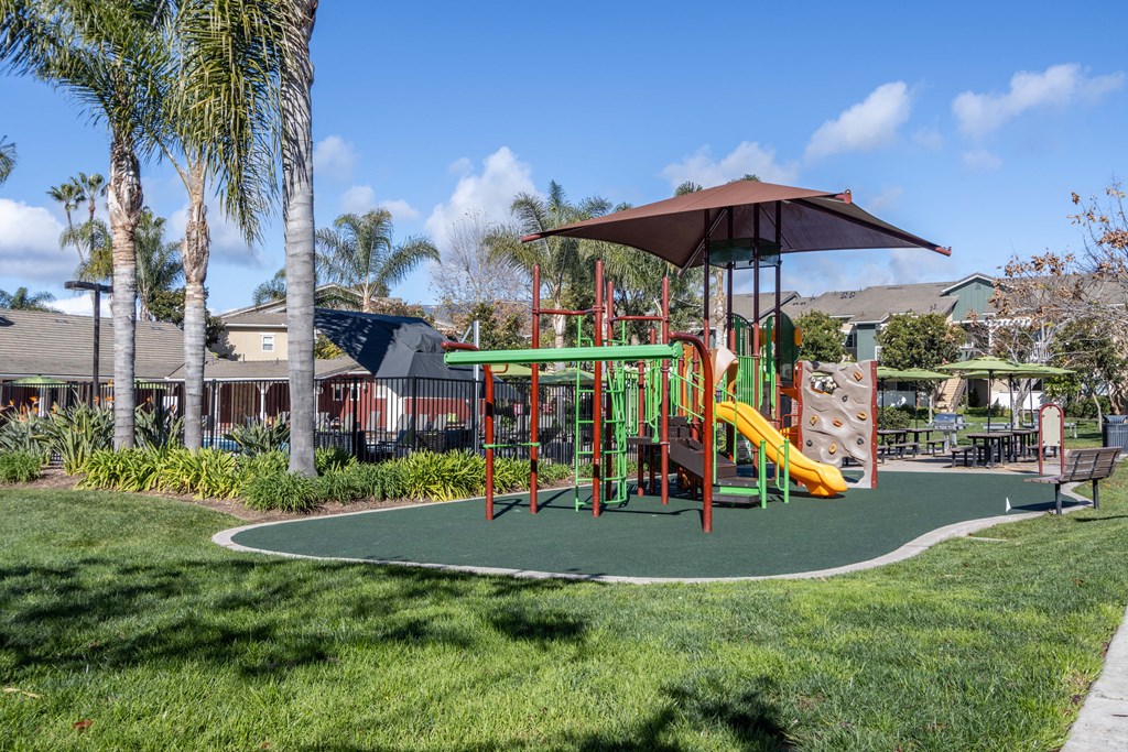 a playground with a jungle gym and swing set in a park