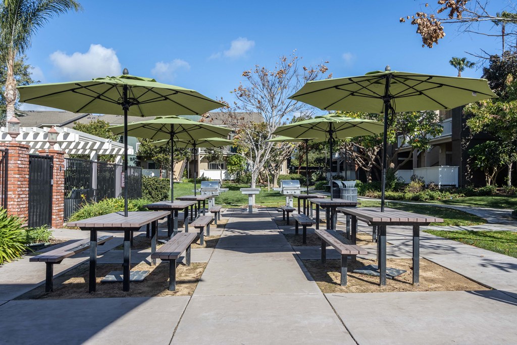 a row of picnic tables with umbrellas in a park