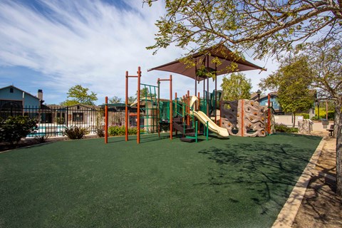 a playground with a jungle gym and a swing set