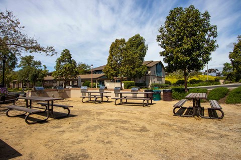 a community picnic area with benches and picnic tables