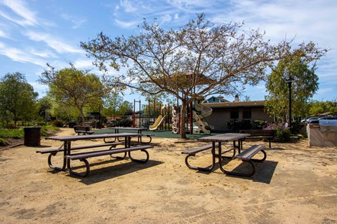 a picnic area with benches and a playground in a park