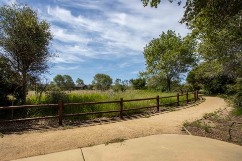 a path through a park with a fence