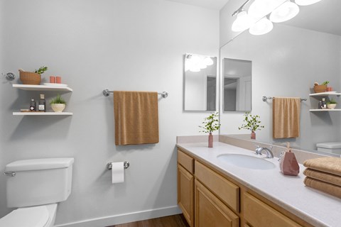 a bathroom with a toilet and a sink and a mirror