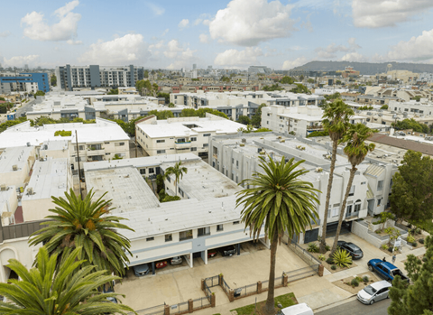 A view of a residential area with houses and palm trees.