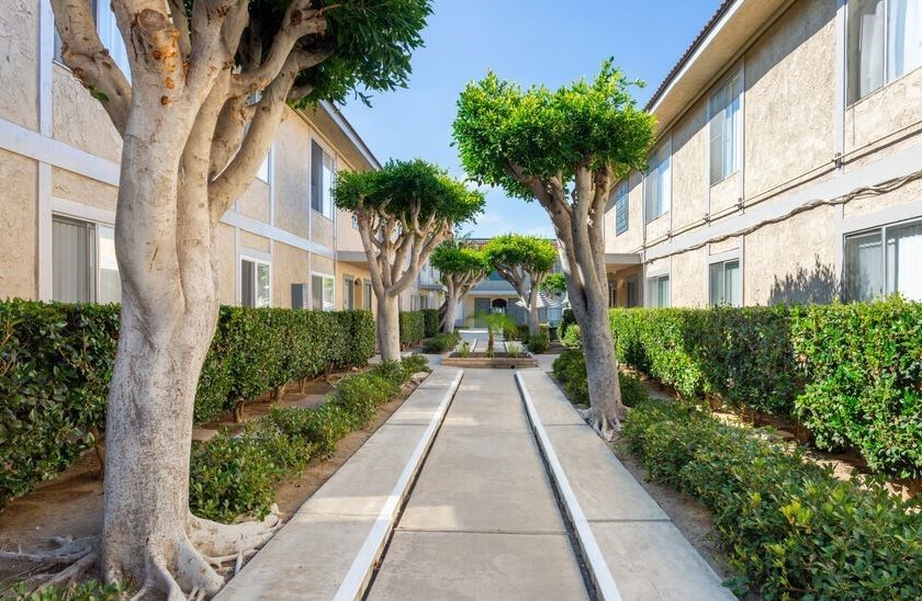 A row of trees line a sidewalk in front of a building.