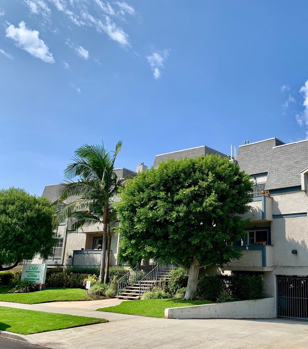 A modern house with a palm tree in front.