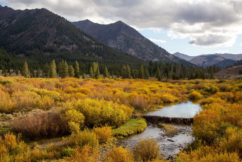 A stream flows through a valley with autumn trees and mountains in the background.