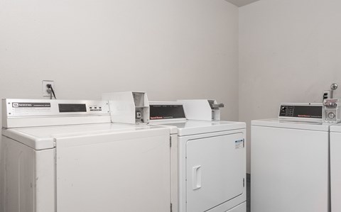 A row of white washing machines in a laundry room.