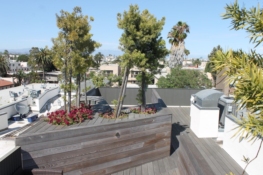 A wooden deck with red flowers in the foreground and a cityscape in the background.