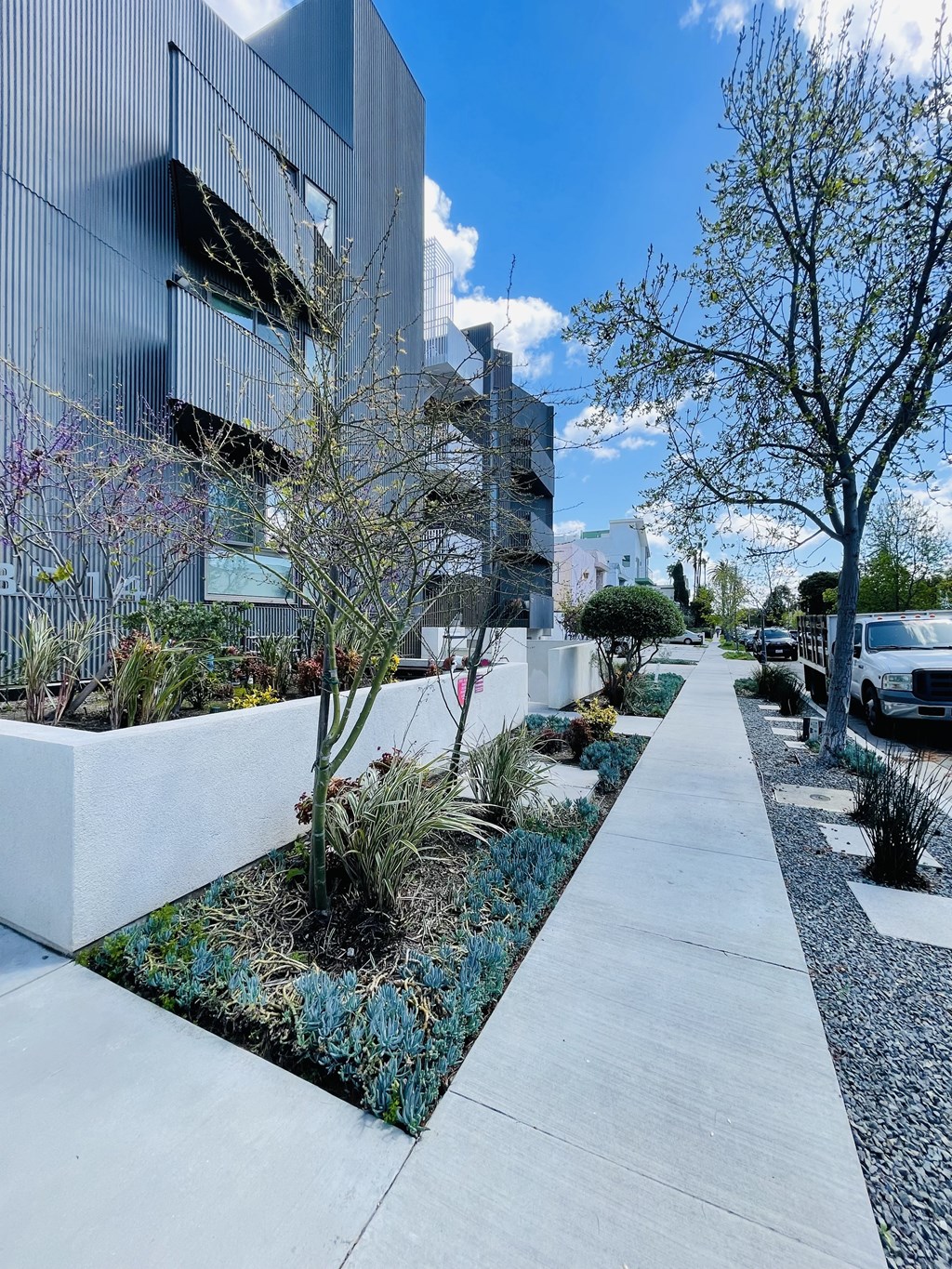 A modern building with a concrete walkway and a row of trees and plants.