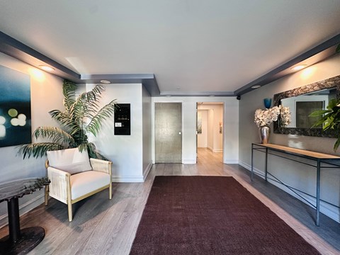 A living room with a sofa, a table, a plant, and a red carpet.