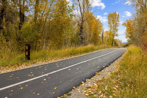 Street View at The Woods at Copper Ranch, Hailey, ID, 83333