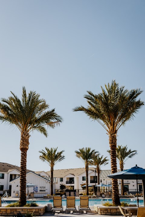 Pool Area with Palm Trees  at Park West at Stockdale River Ranch, California