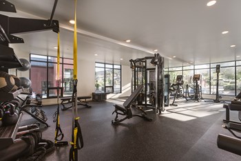 Great Equipment Options in the Fitness Center - Photo Gallery 4