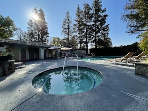 Villa Mondavi heated spa with blue tile and ladder  at Villa Mondavi, Bakersfield