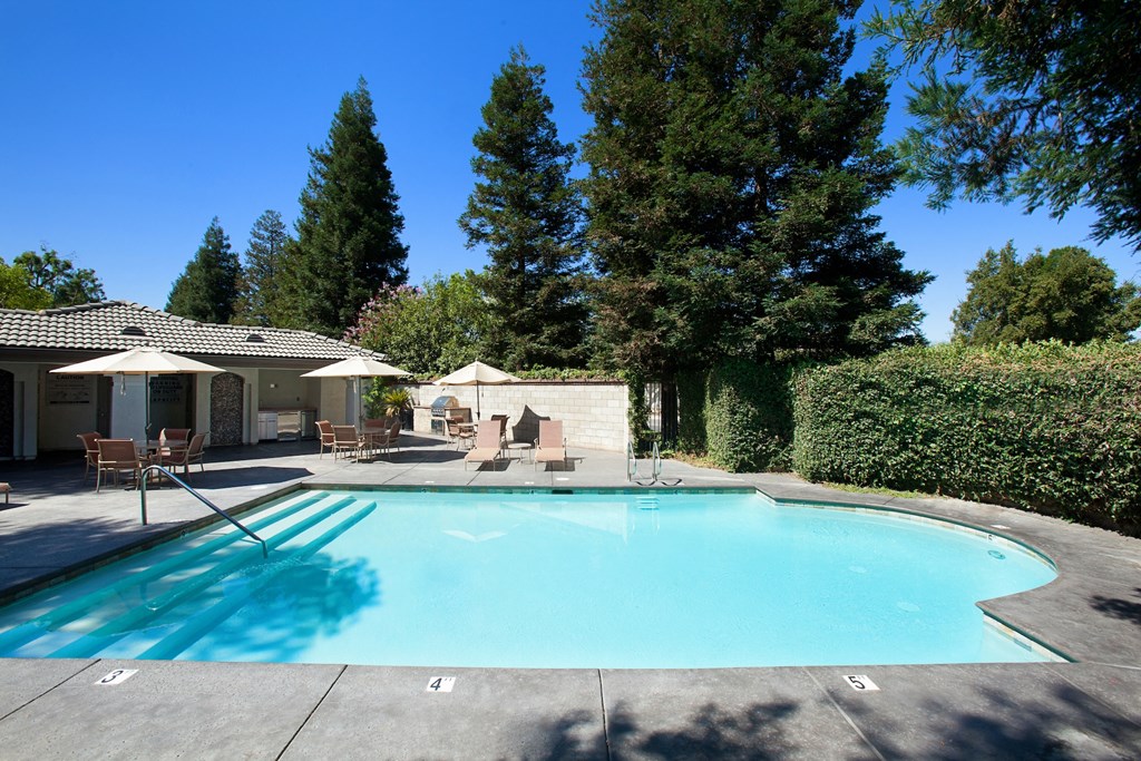 Villa Mondavi Pool with lounge chairs and umbrellas at Villa Mondavi, California