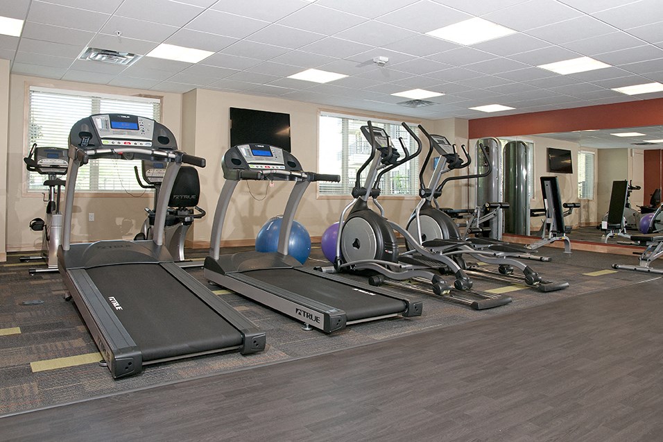 a gym with treadmills and other exercise equipment