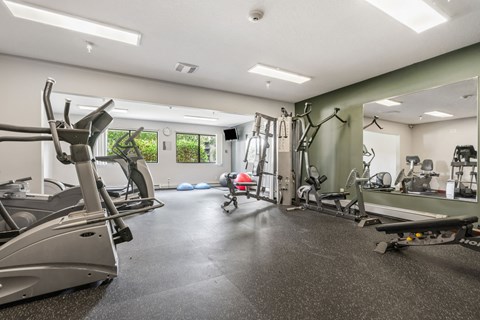 the gym with treadmills and other exercise equipment at 1861 muleshoe road