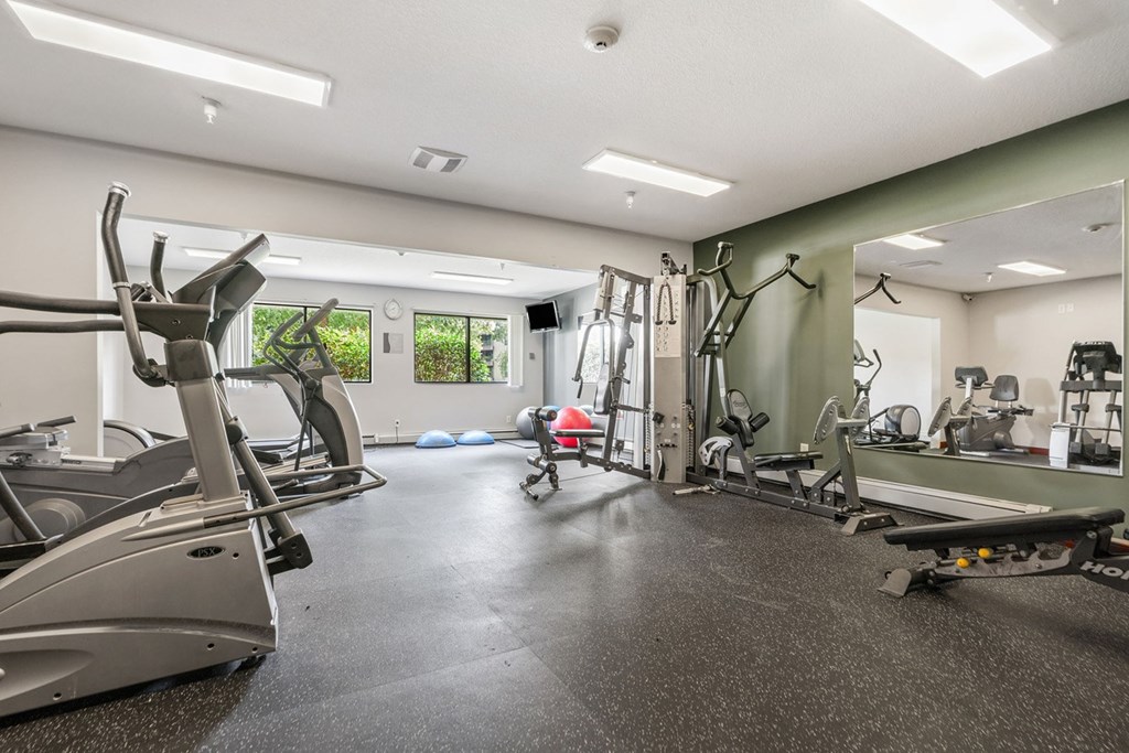 A gym with treadmills, exercise bikes, and other equipment.