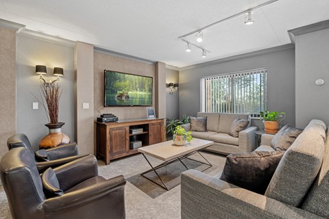 a living room with couches and chairs and a television