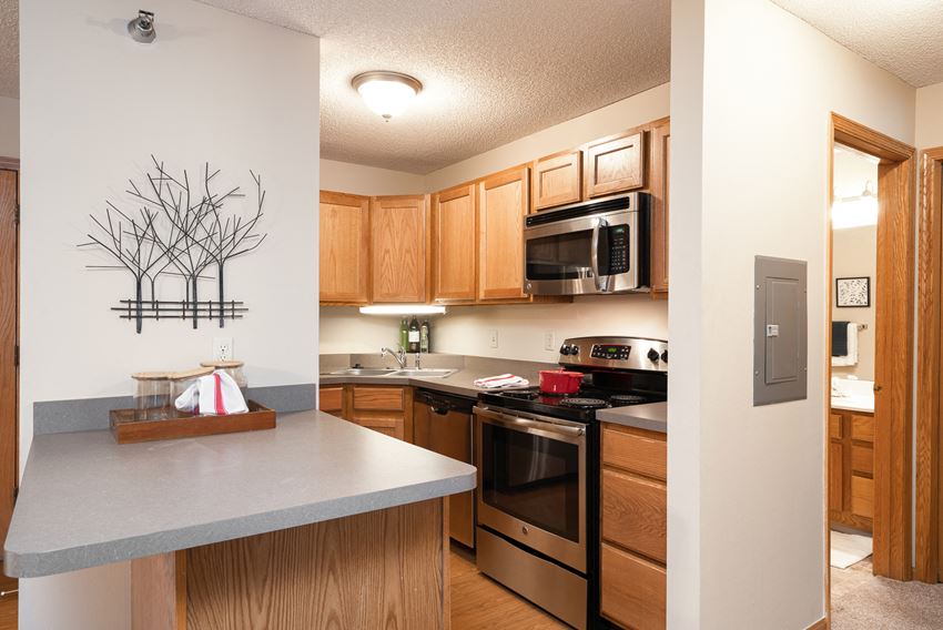 Kitchen with light brown panel wood cupboards and stainless steel appliances