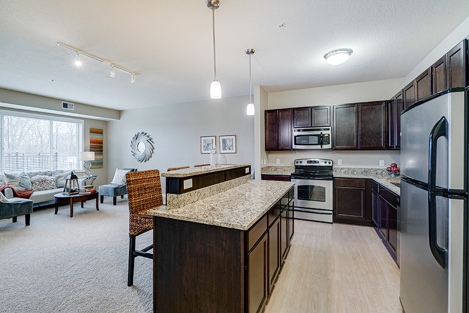 Living room and kitchen