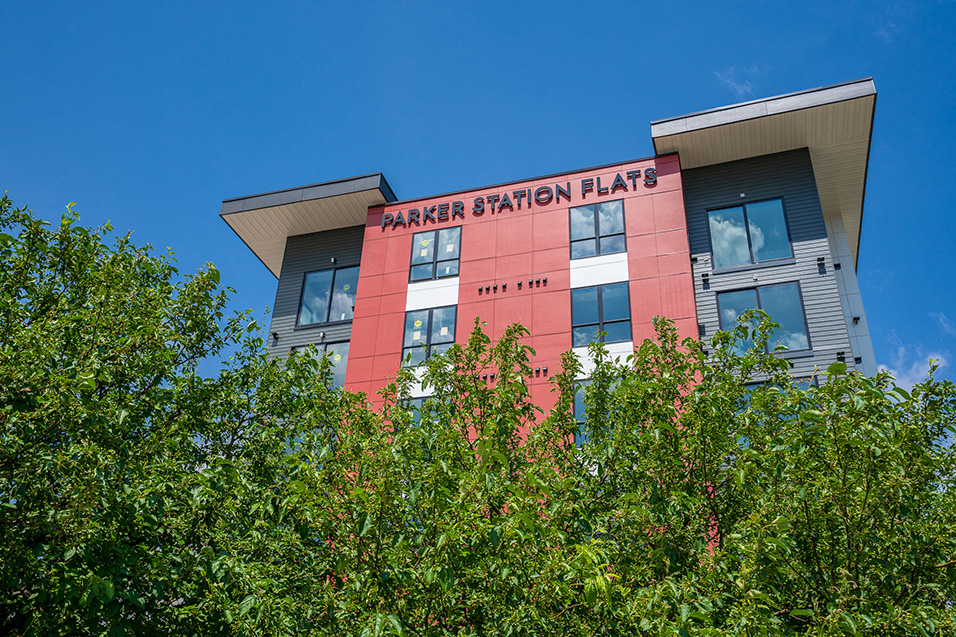 Outside view of apartment building behind a row of trees