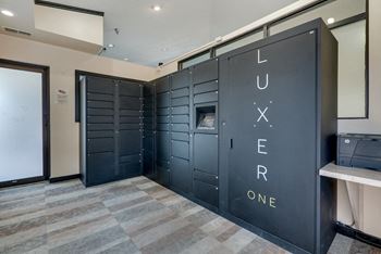 Luxer One Package System