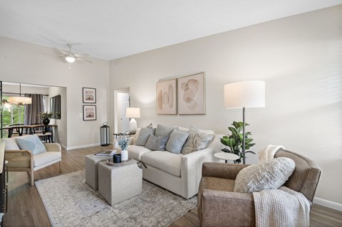 A living room with a white couch, a brown armchair, and a grey rug.