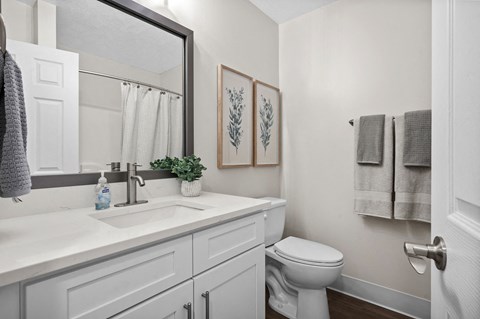 A bathroom with a white toilet, sink, and a mirror.