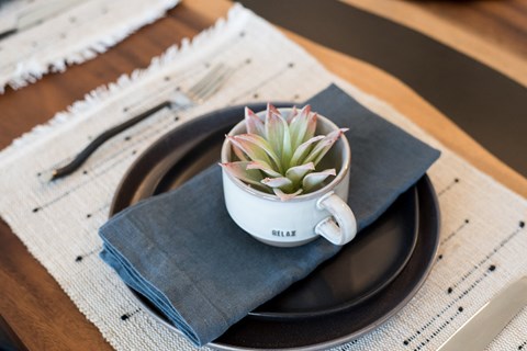 A small succulent plant sits in a white cup on a dark plate.