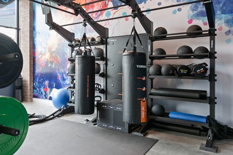 A gym with a punching bag, weights, and a green weight plate.