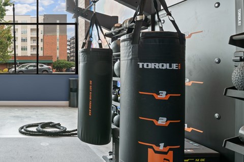 Two black Torque punching bags hanging from a rack.