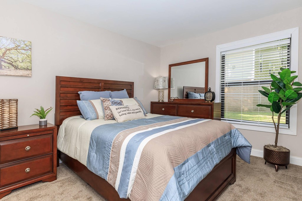 a pattern of green and pink polka dots at Sawgrass Apartments, Charleston, SC