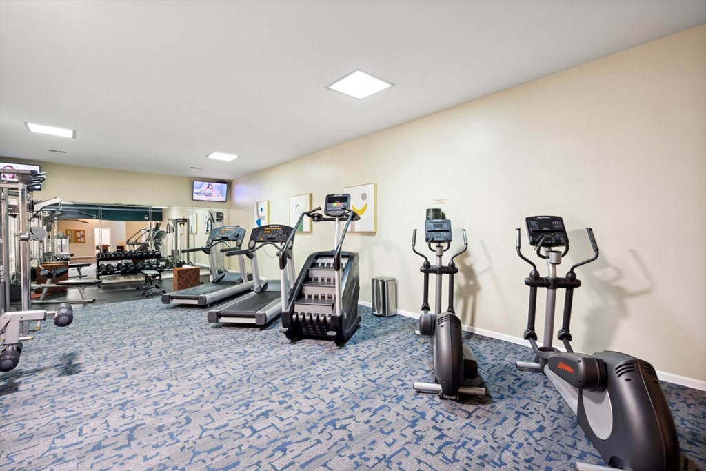a gym with various exercise equipment in a room with a blue and white rug at The Falls Apartments in Raleigh NC