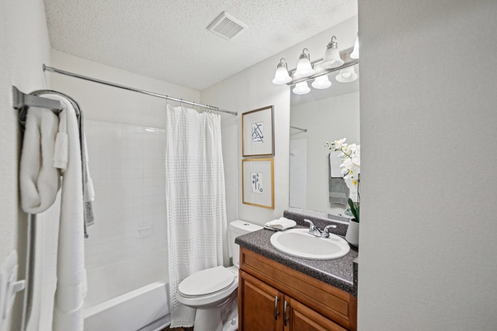 A bathroom with a toilet, sink, and shower at Willow Ridge Apartments, North Carolina, 28210