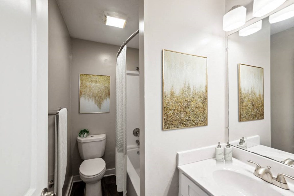 Bathroom at Lakecrest Apartments, PRG Real Estate Management, Greenville, SC, 29615