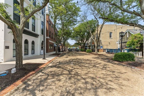 a street with buildings on both sides and trees in the middle of the street at The Constellation Apartments, PRG Real Estate, Hampton, Virginia