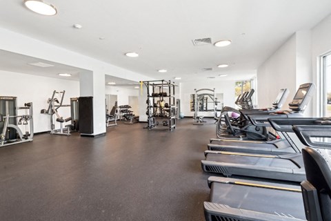 A spacious gym with treadmills, weights, and exercise equipment at The Point Apartments on 38th, Norfolk, Virginia