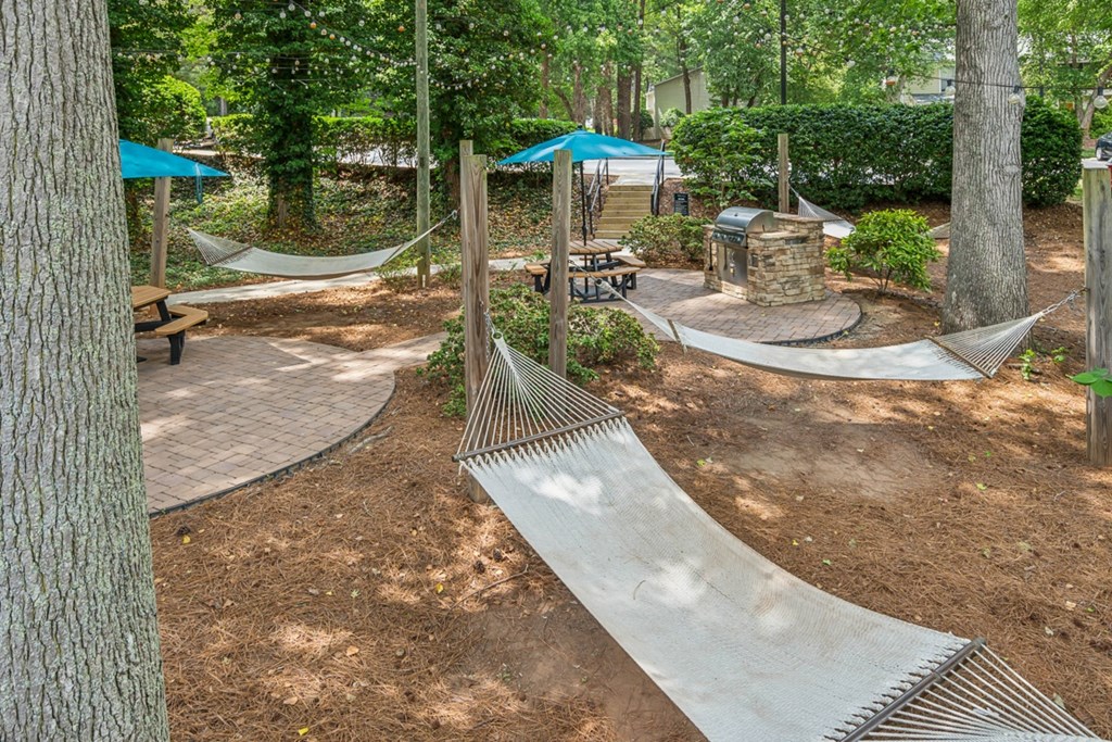 a group of hammocks hanging in a wooded park