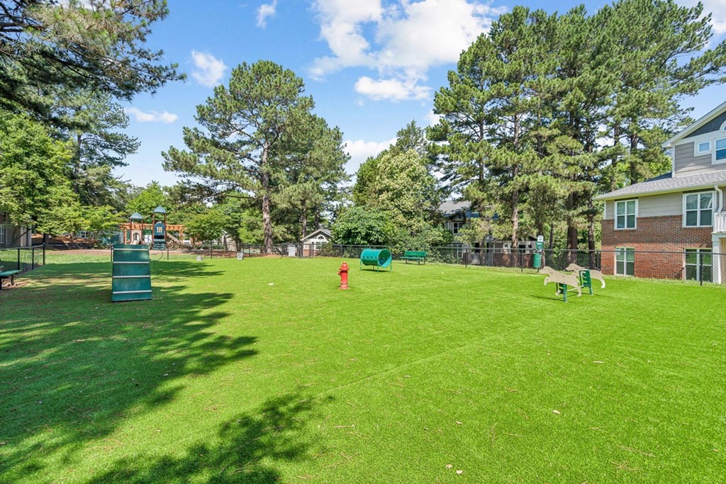 a backyard with a dog park and a playground at The Falls Apartments in Raleigh NC