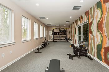 A home gym with exercise equipment and a colorful wallpaper.