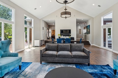 A living room with a grey couch and a blue rug.
