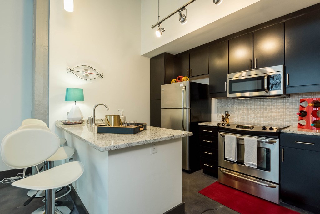 kitchen at The Locks Apartments, Richmond, Virginia