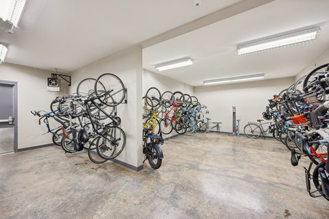 A room full of bicycles parked in a bike shop.