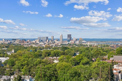 A cityscape with a mix of residential and commercial buildings, surrounded by lush green trees.