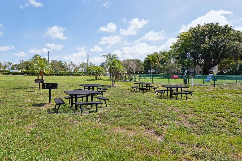 a group of picnic tables in a park