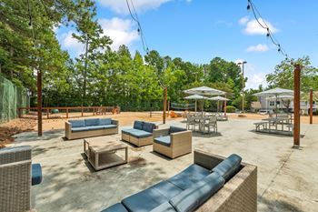 A sunny day at the outdoor seating area with blue cushioned furniture.