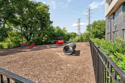 Dog Park at Hydro, Richmond, Virginia
