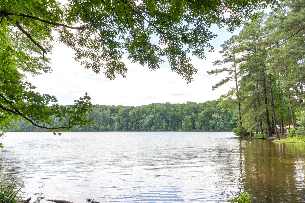 Lake With Lush Natural Surrounding at Lake Johnson Mews Apartments, PRG Real Estate Management, Raleigh, North Carolina